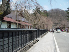 角館の咲いてない枝垂れ桜